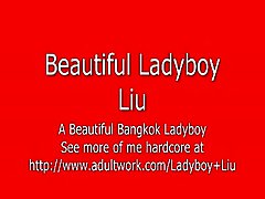 the Beautiful Bangkok Ladyboy