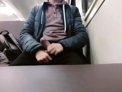 While no one was there, I decided to jerk off on the train