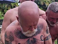 Gangbang of Hairy Stepdads and Stepgrandpas with Logan Stanley